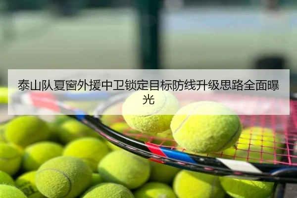 泰山队夏窗外援中卫锁定目标防线升级思路全面曝光
