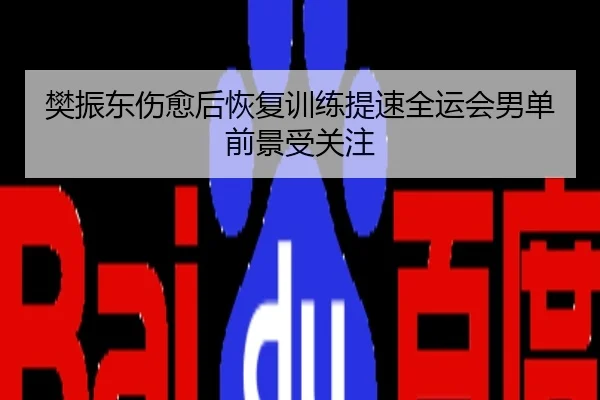 樊振东伤愈后恢复训练提速全运会男单前景受关注