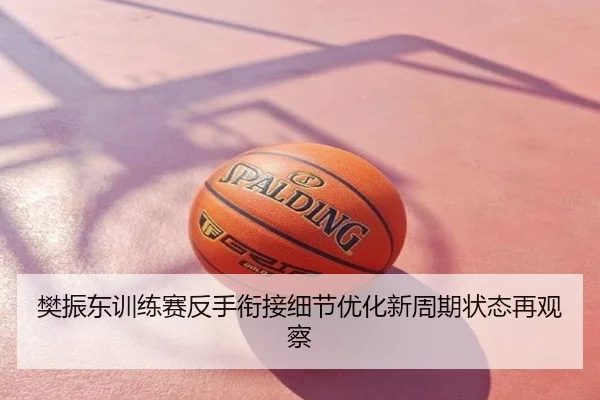 樊振东训练赛反手衔接细节优化新周期状态再观察
