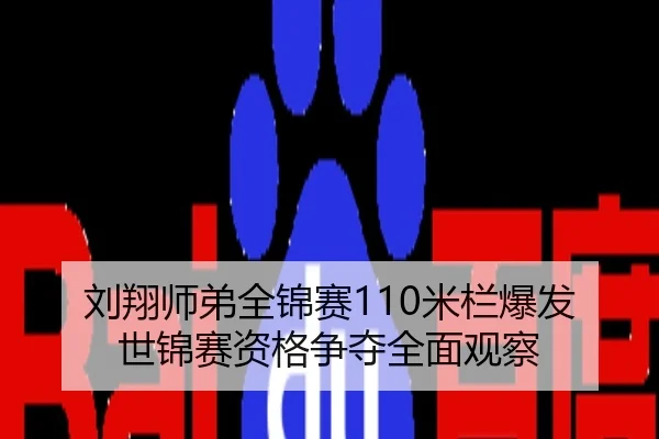 刘翔师弟全锦赛110米栏爆发 世锦赛资格争夺全面观察