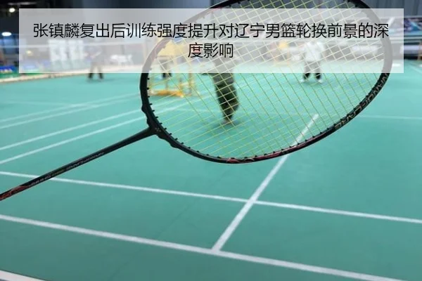 张镇麟复出后训练强度提升对辽宁男篮轮换前景的深度影响