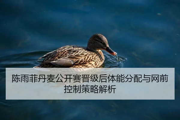 陈雨菲丹麦公开赛晋级后体能分配与网前控制策略解析